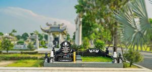 Hình ảnh mội đôi tiêu chuẩn công viên vĩnh hằng long thành